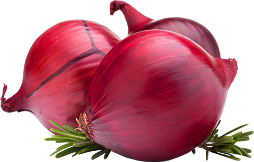 Onion